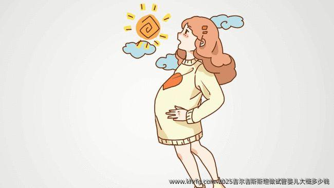 2025吉尔吉斯斯坦做试管婴儿大概多少钱