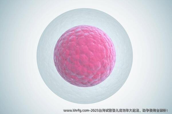 2025台湾试管婴儿成功率大起底，助孕费用全解析！