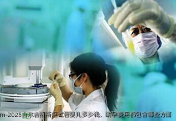 2025吉尔吉斯斯坦试管婴儿多少钱，助孕费用都包含哪些方面