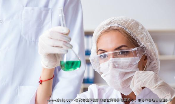 自己去哈萨克斯坦做试管费用预算多少，主要花费项目明细分享