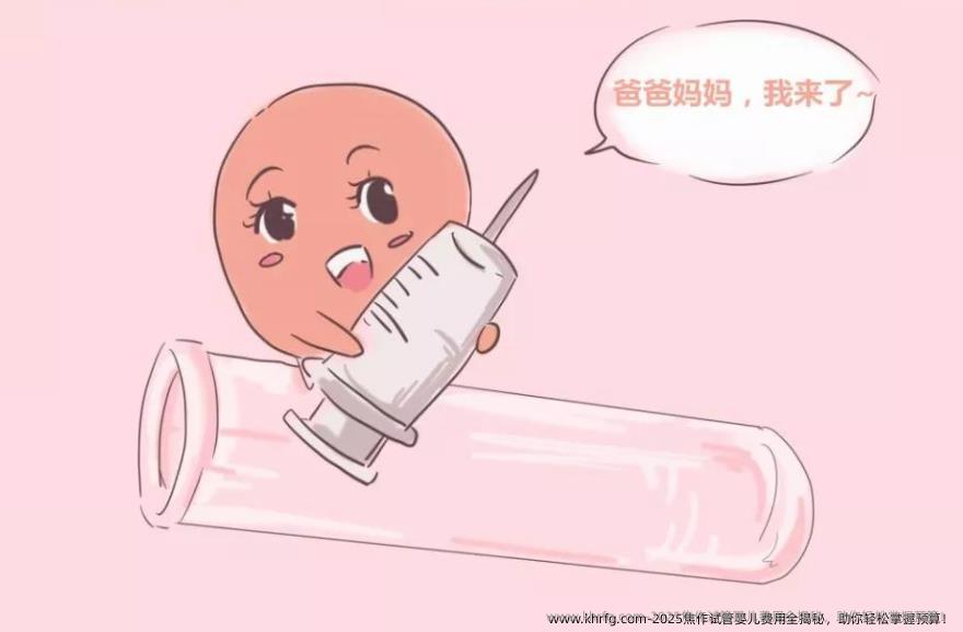 2025焦作试管婴儿费用全揭秘，助你轻松掌握预算！
