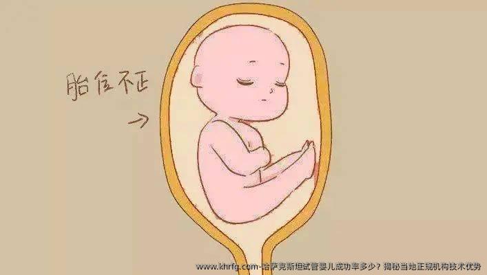 哈萨克斯坦试管婴儿成功率多少？揭秘当地正规机构技术优势