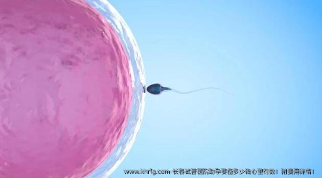 长春试管医院助孕要备多少钱心里有数！附费用详情！