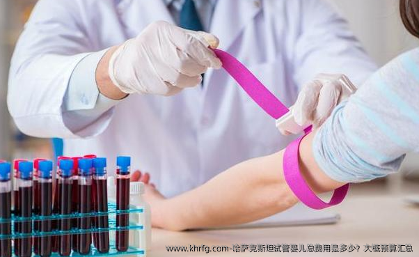哈萨克斯坦试管婴儿总费用是多少？大概预算汇总