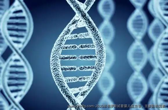 2025年俄罗斯试管婴儿成功率，主要影响因素