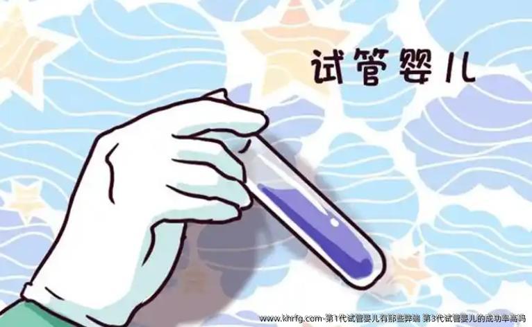 第1代试管婴儿有那些弊端 第3代试管婴儿的成功率高吗