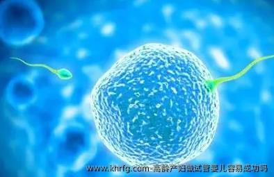 高龄产妇做试管婴儿容易成功吗?