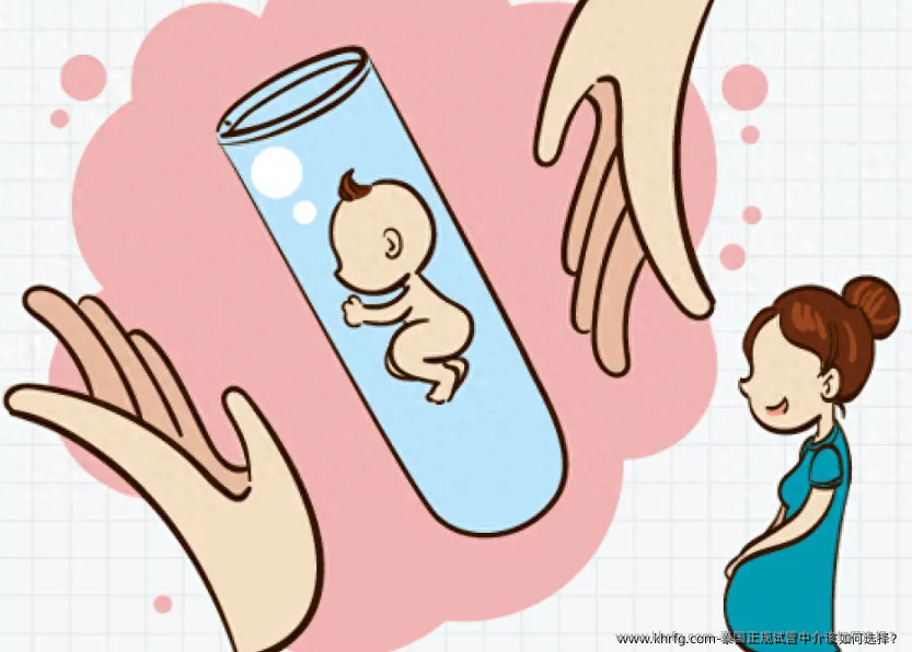 泰国正规试管中介该如何选择？