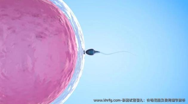 泰国试管婴儿：价格范围及费用细节解析