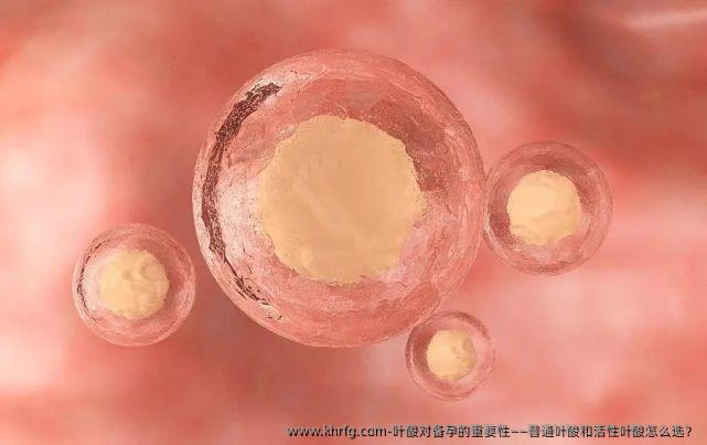叶酸对备孕的重要性——普通叶酸和活性叶酸怎么选？
