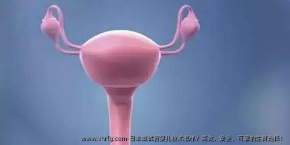 日本做试管婴儿技术怎样？高效、安全、可靠的生育选择！