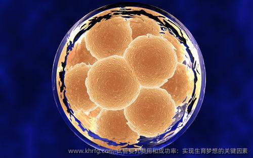 试管婴儿费用和成功率：实现生育梦想的关键因素