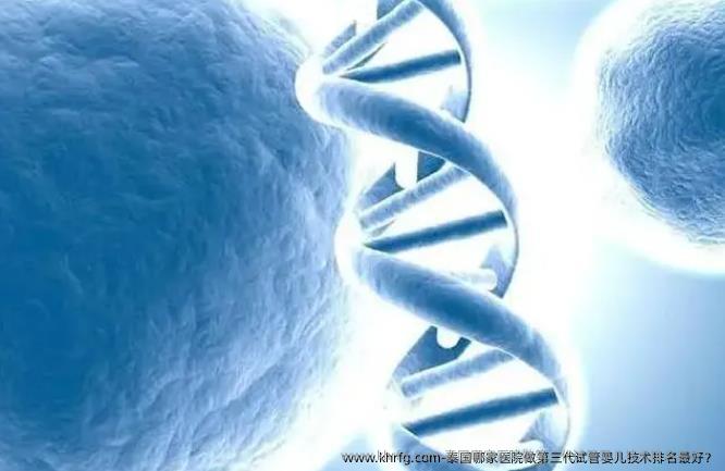 泰国哪家医院做第三代试管婴儿技术排名较好？