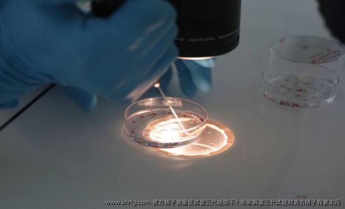 男方精子质量低试管三代能做不？专家解读三代试管对男方精子有要求吗