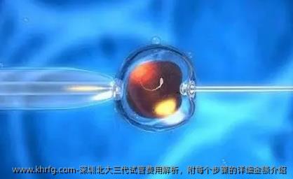 深圳北大三代试管费用解析，附每个步骤的详细金额介绍