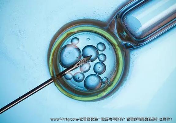 试管桑葚胚一般成功率好吗？试管移植桑葚胚是什么意思？