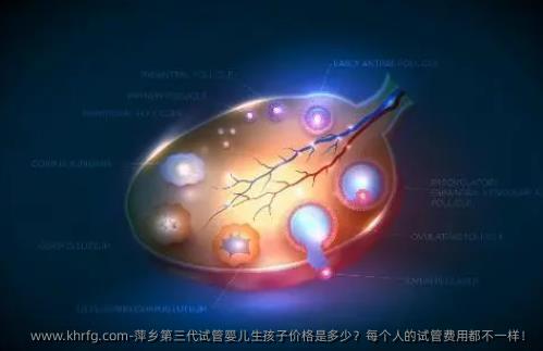 萍乡第三代试管婴儿生孩子价格是多少？每个人的试管费用都不一样！