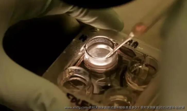 农村失独夫妇家庭做试管补贴标准是多少？农村失独夫妇家庭2025试管补贴政策