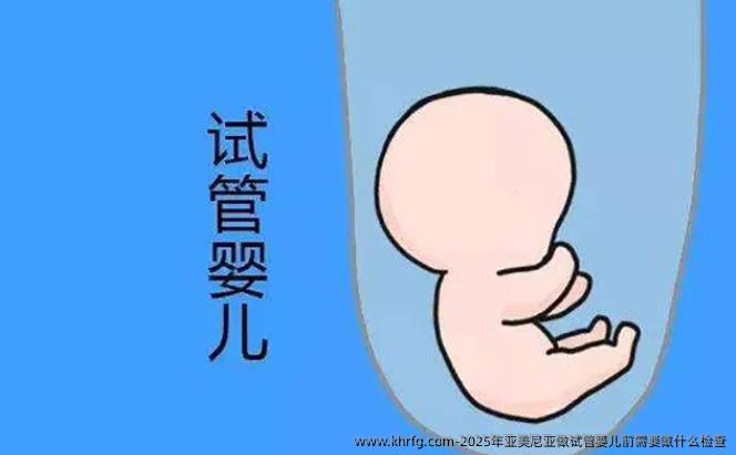 2025年亚美尼亚做试管婴儿前需要做什么检查