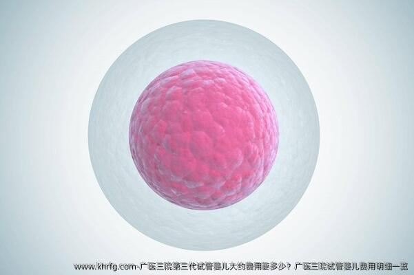 广医三院第三代试管婴儿大约费用要多少？广医三院试管婴儿费用明细一览