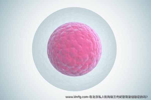 在北京私立机构做三代试管需要结婚证的吗？