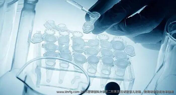 2025昆明医科大学第二附属医院试管婴儿攻略，费用明细及成功率指南