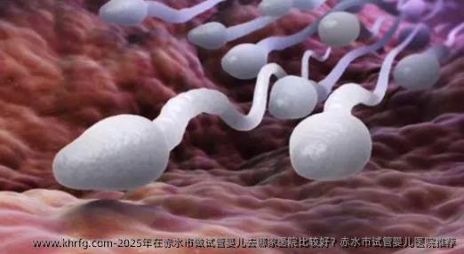 2025年在赤水市做试管婴儿去哪家医院比较好？赤水市试管婴儿医院推荐