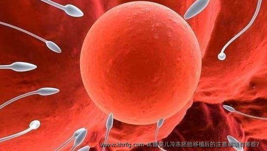 试管婴儿冷冻胚胎移植后的注意事项有哪些？