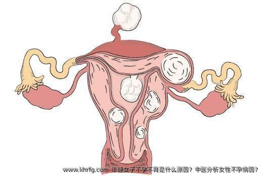 年轻女子不孕不育是什么原因？中医分析女性不孕病因？