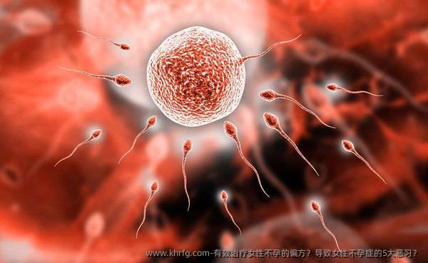 有效治疗女性不孕的偏方？导致女性不孕症的5大恶习？