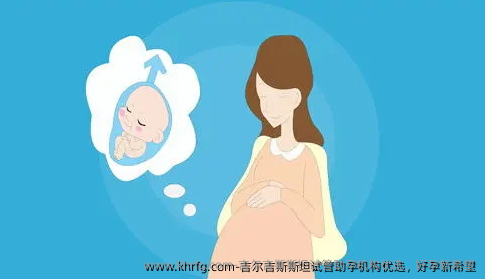 吉尔吉斯斯坦试管助孕机构优选，好孕新希望