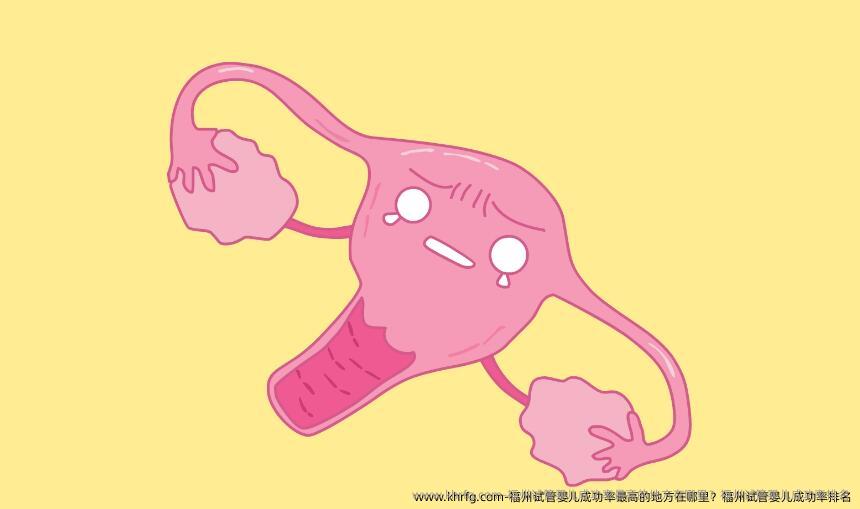 福州试管婴儿成功率最高的地方在哪里？福州试管婴儿成功率排名