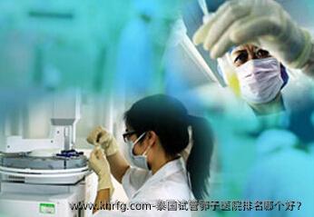泰国试管卵子医院排名哪个好？