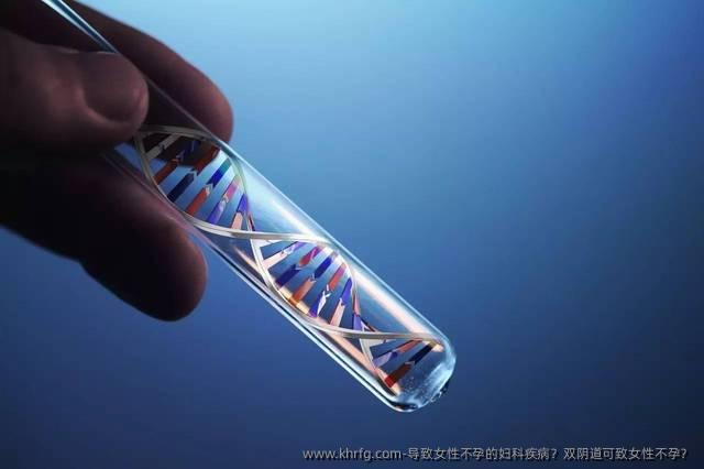 导致女性不孕的妇科疾病？双阴道可致女性不孕？