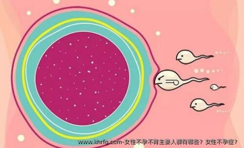 女性不孕不育主要人群有哪些？女性不孕症？