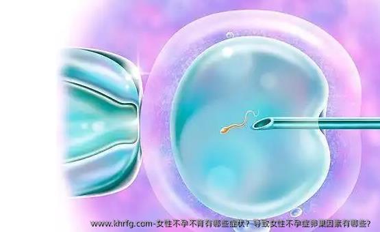女性不孕不育有哪些症状？导致女性不孕症卵巢因素有哪些？