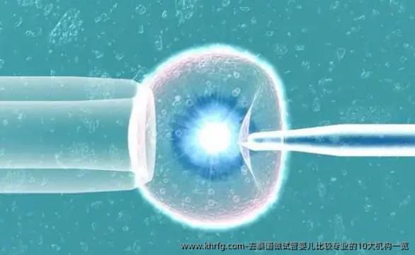 去泰国做试管婴儿比较专业的10大机构一览