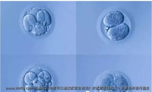 清远胎儿停育可以通过试管生育吗？对试管移植的三个必要条件进行盘点