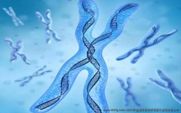 2025年香港比较好试管婴儿医院排名公布