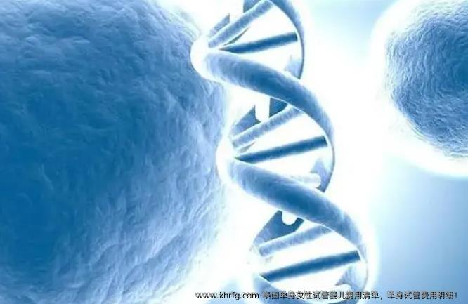 泰国单身女性试管婴儿费用清单，单身试管费用明细！