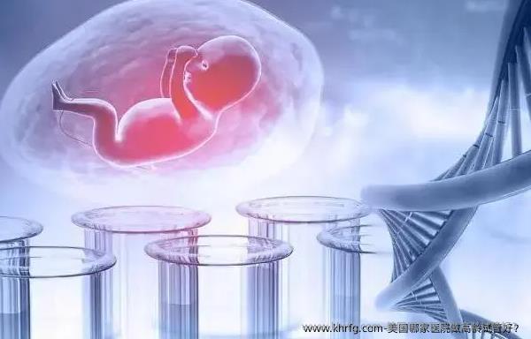 美国哪家医院做高龄试管好？
