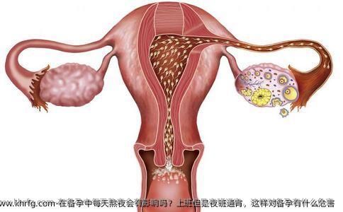 在备孕中每天熬夜会有影响吗？上班但是夜班通宵，这样对备孕有什么危害 