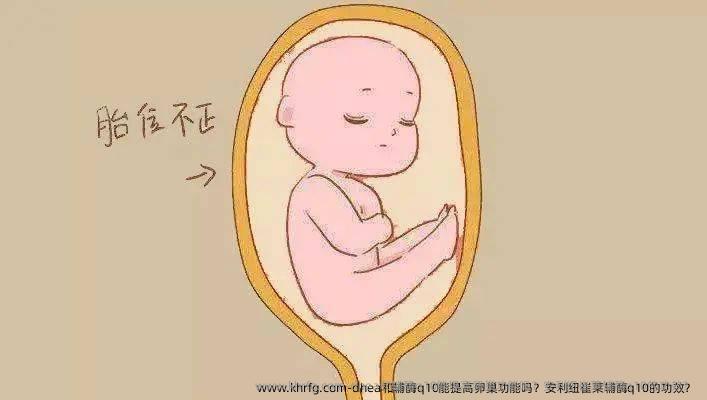 dhea和辅酶q10能提高卵巢功能吗？安利纽崔莱辅酶q10的功效？ 
