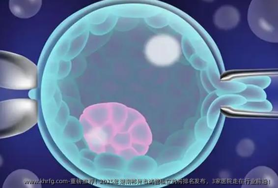 重磅推荐！2025年湖南郴州市试管私立机构排名发布，3家医院走在行业前沿！