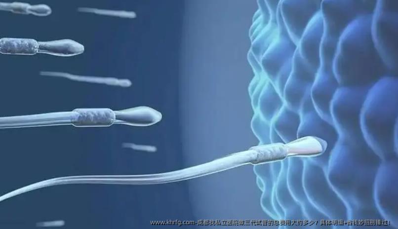 成都找私立医院做三代试管的总费用大约多少？具体明细+省钱妙招别错过！