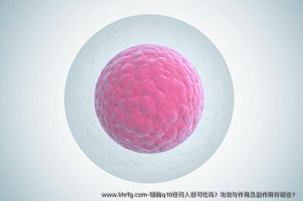 辅酶q10任何人都可吃吗？功效与作用及副作用有哪些？