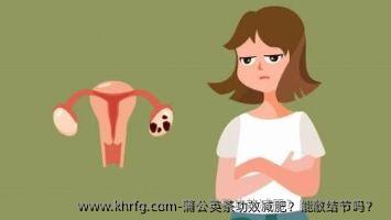 蒲公英茶功效减肥？能散结节吗？ 