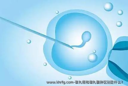 睾丸癌和睾丸囊肿区别是什么？ 