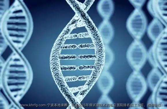 宁波本地来瞧！宁波2025年做试管技术的私立医院排名前三介绍，推荐给你！