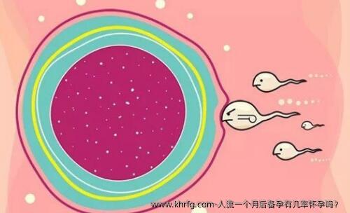 人流一个月后备孕有几率怀孕吗？